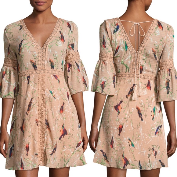 foxiedox Dresses & Skirts - Foxiedox 3/4-Sleeve Hummingbird Print Dress